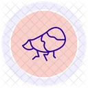 Planthoppper Planthopper Insect Icon