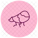 Planthoppper Planthopper Insect Icon