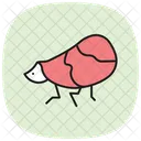 Planthoppper Planthopper Insect Icon