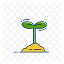 Plant Natural Nature Icon