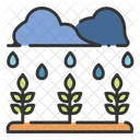 Rain Plant Rain Plant Icon