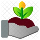Hand Planting Spring Icon