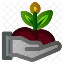 Hand Planting Spring Icon