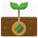 Planting Plant Growing Icon