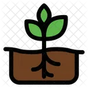 Planting Grow Growth Icon