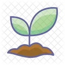 Planting Nature Plant Icon