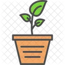 Planting Smart Flower Icon