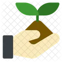 Planting  Icon