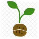 Planting Coffee  Icon