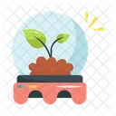 Growth Soil Plant Icon