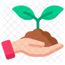 Planting Plant Gardening Icon