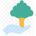 Planting Tree  Icon