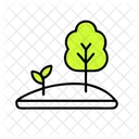 Planting Tree Planting Tree Icon