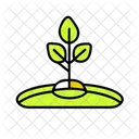 Planting Tree Planting Tree Icon