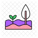 Planting Tree Planting Tree Icon