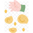 Plantio  Icon