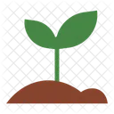 Plantar Plantar Jardinagem Icon