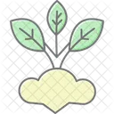 Plantio Companheiro Plantio Companheiro Icon