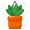 Plantpot Icon