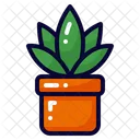 Plantpot Icon