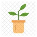 Plants Nature Plant Icon