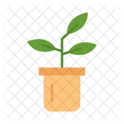 Plants  Icon