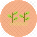 Plants Plant Nature Icon