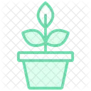 Plants Duotone Line Icon Icon