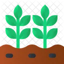 Plants Plant Farming Icon