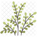 Plants Leaf Spring Icon