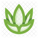 Plants Herb Leaves Icon