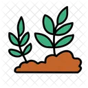 Plants Soil Planting Icon
