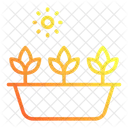 Plants Icon