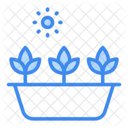 Plants  Icon