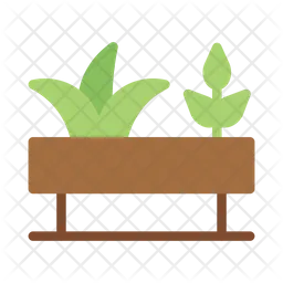 Plants  Icon