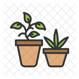 Plants  Icon