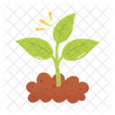 Growth Garden Green Icon