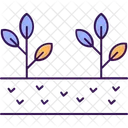 Plants Growing Gardening Growing Plants Icon