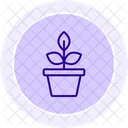 Plants Line Icon Icon