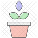 Plants Lineal Color Icon Icon