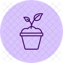 Plants Greenery Nature Icon