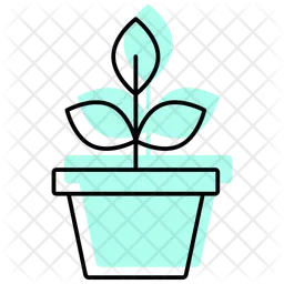 Plants  Icon