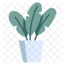Plants Pot Leaf Icon