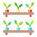 Aplant Plants Nature Icon
