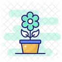 Plants  Icon