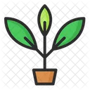Planet Environment Ecology Icon