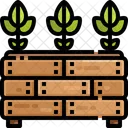 Plants  Icon