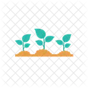 Plants Growth Green Icon