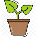 Plants Nature Green Icon
