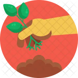 Plants  Icon